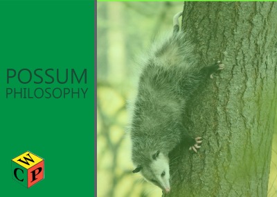 Possum Philosophy