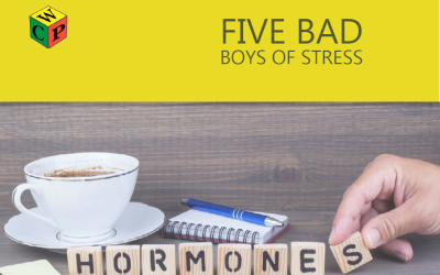 The Five Bad Boys of Stress